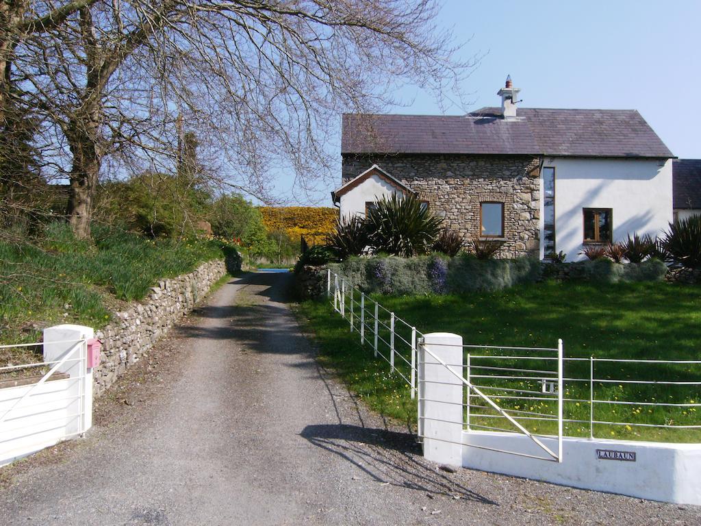 The Village Studio Apartments Moate Kültér fotó