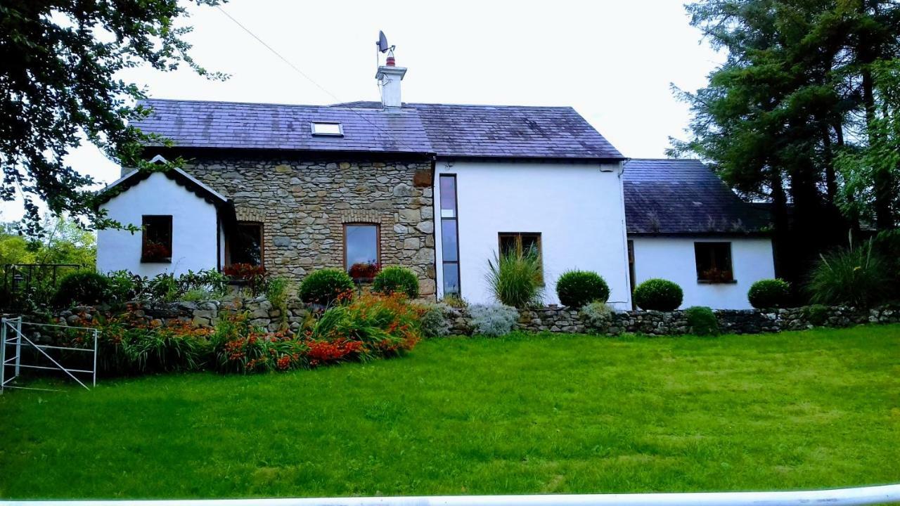 The Village Studio Apartments Moate Kültér fotó