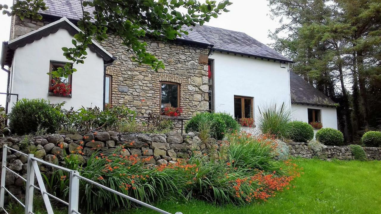 The Village Studio Apartments Moate Kültér fotó